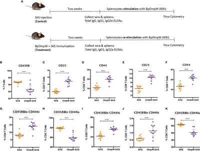 BpOmpW Antigen Stimulates the Necessary Protective T-Cell Responses Against <mark class="highlighted">Melioidosis</mark>